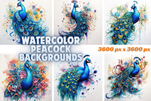 Elevate Your Projects with Watercolor Peacock Backgrounds